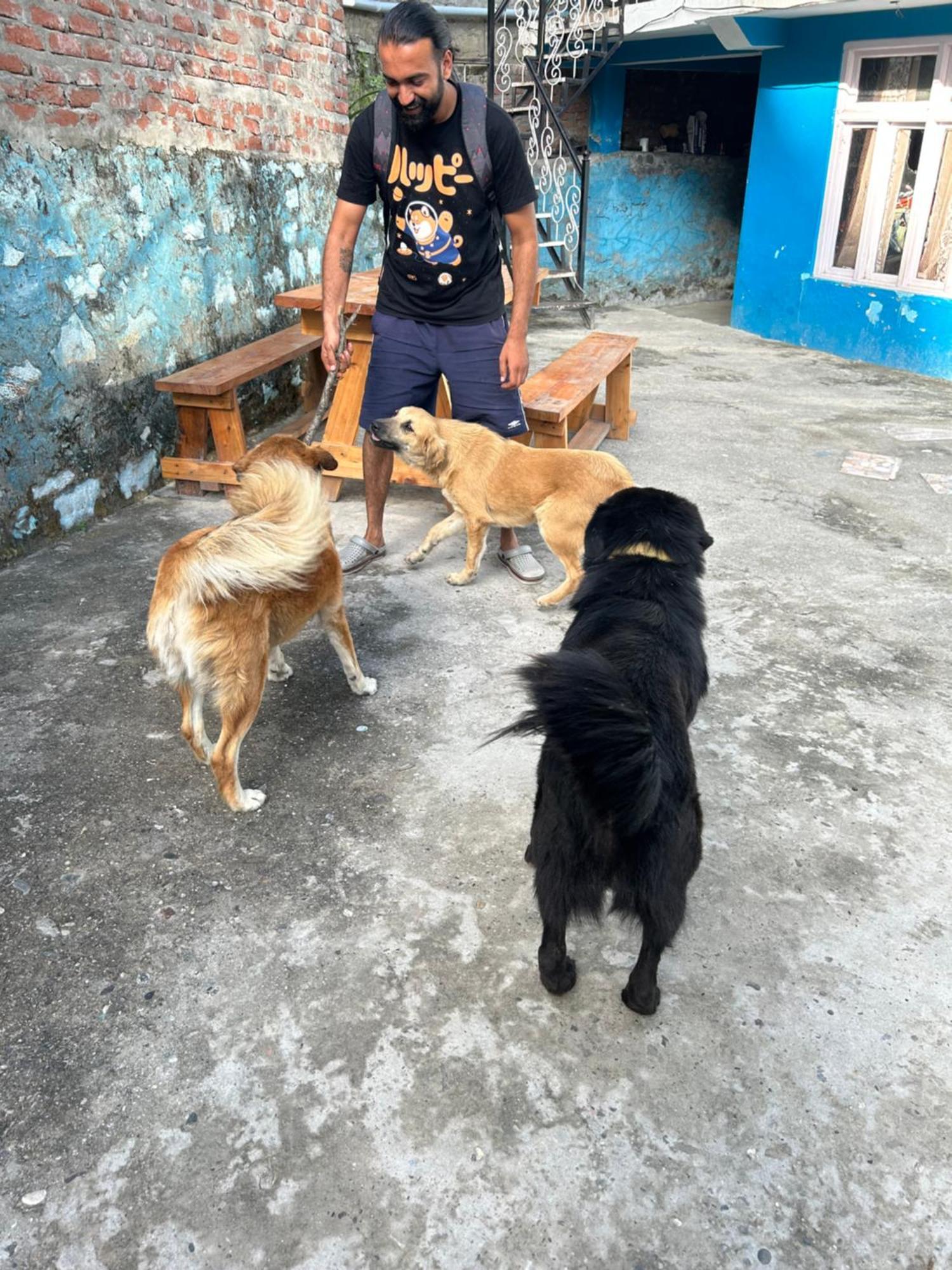 Formosa Hostel & Cafe Kasol Dış mekan fotoğraf