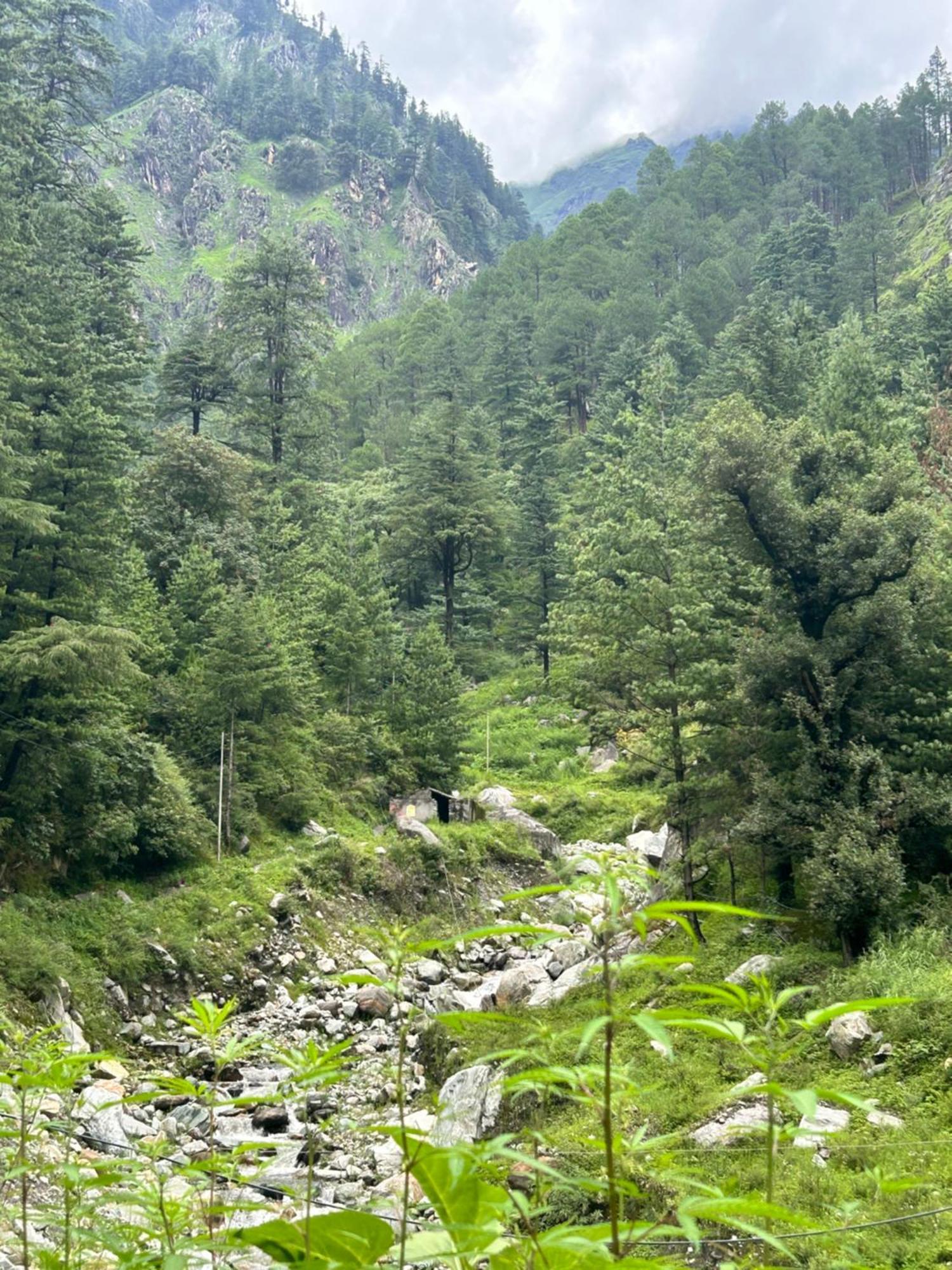 Formosa Hostel & Cafe Kasol Dış mekan fotoğraf